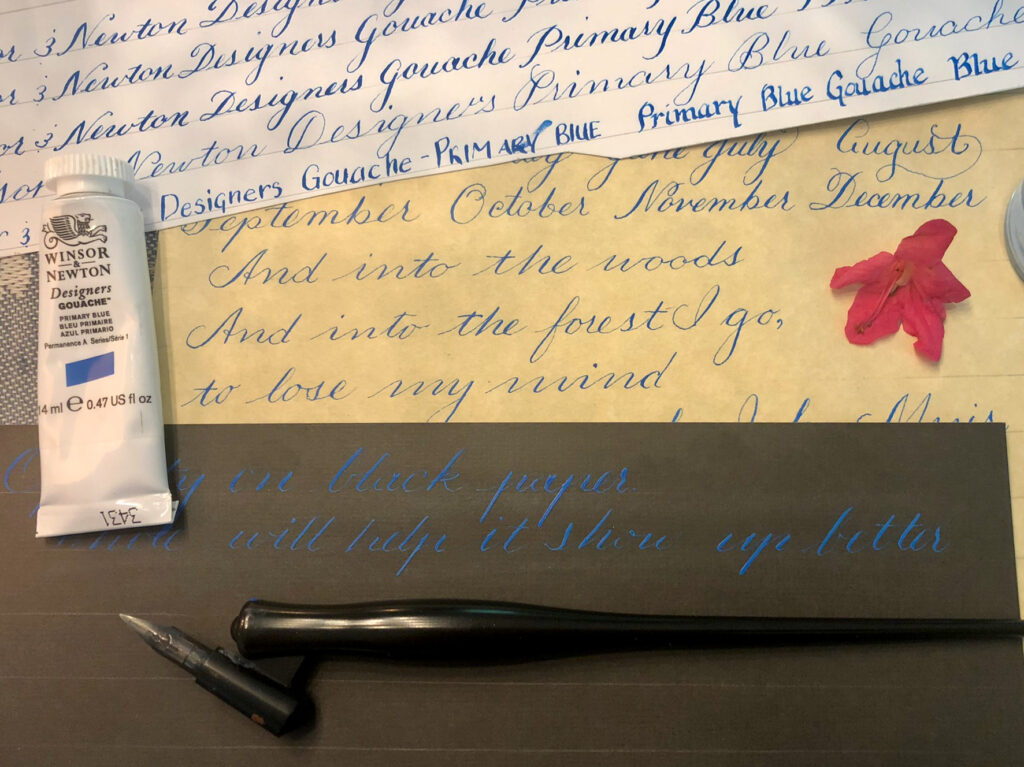 Hand-drawn Copperplate, Spencerian, and block calligraphy on white, ecru, and black paper using Winsor & Newton Designers Gouache in Primary Blue. A tube of the product is shown on the left, a Speedball oblique pen at the bottom, and a bright pink azalea blossom on the right.