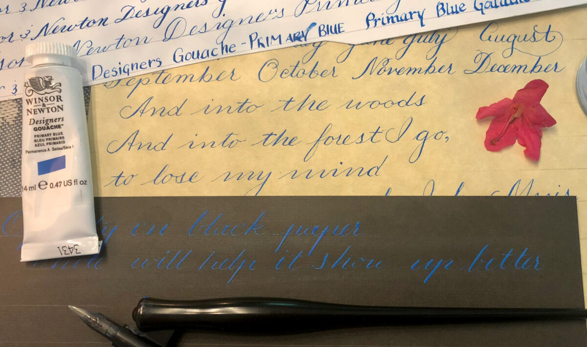Hand-drawn Copperplate, Spencerian, and block calligraphy on white, ecru, and black paper using Winsor & Newton Designers Gouache in Primary Blue. A tube of the product is shown on the left, a Speedball oblique pen at the bottom, and a bright pink azalea blossom on the right.